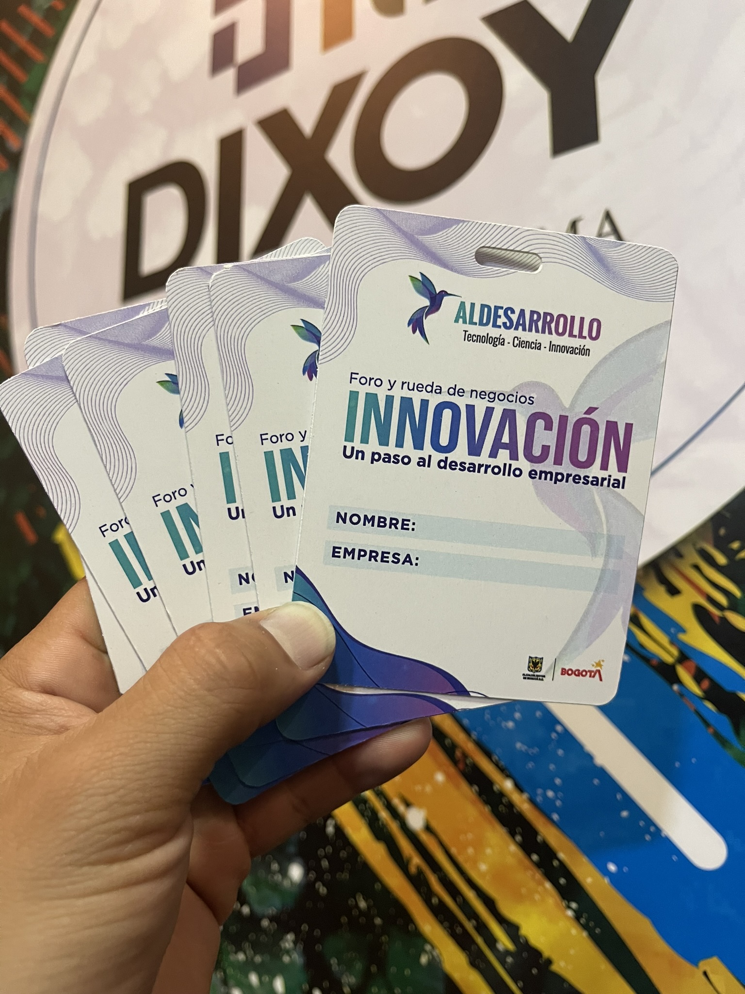 Portafolio DIXOY